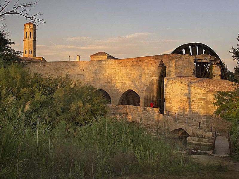 Monasterio de Rueda. Noria