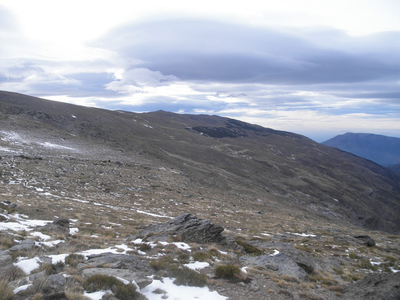 Sierra Nevada