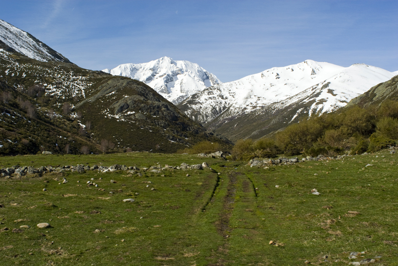 Montaña Palentina