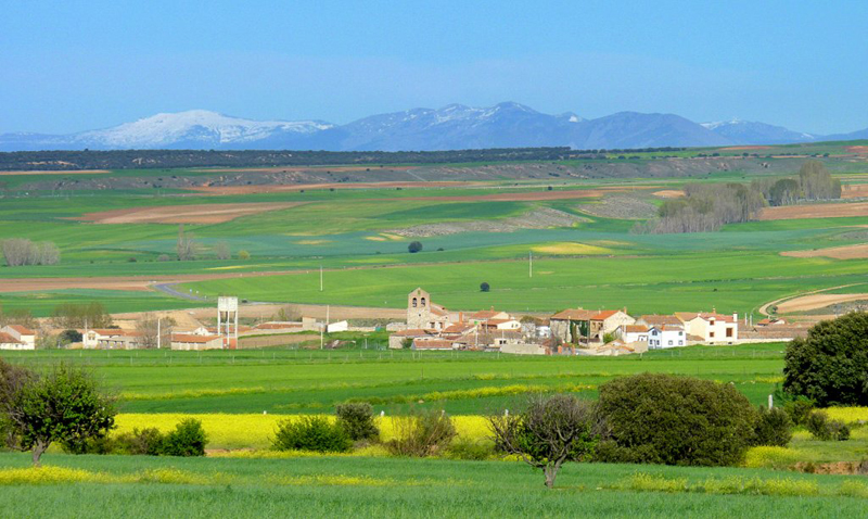 Zorita de los Molinos