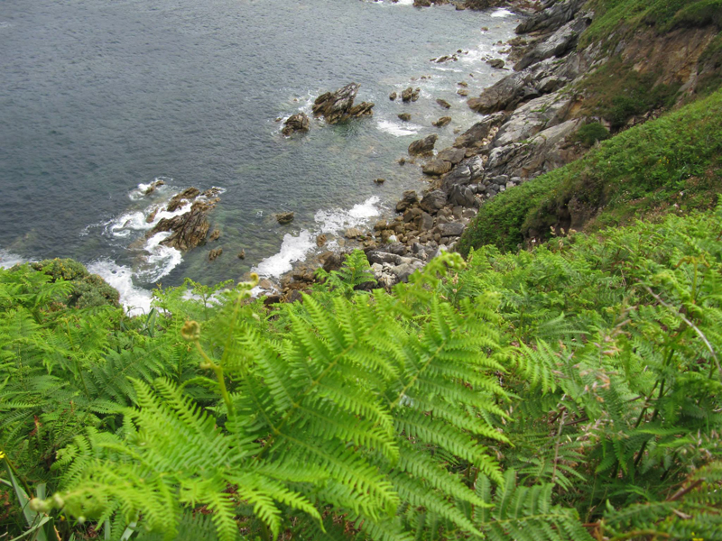 Costa da Morte, Camiño dos Faros