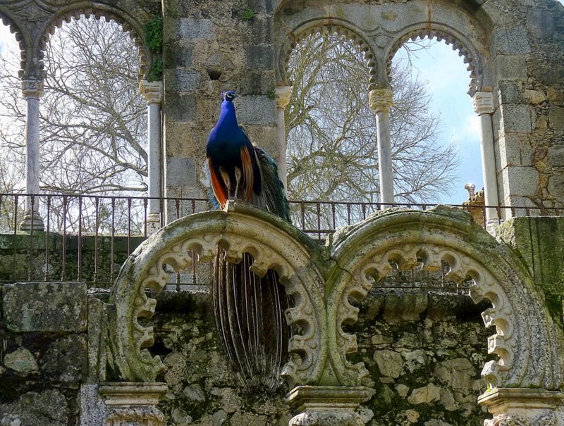 Jardines públicos, Evora