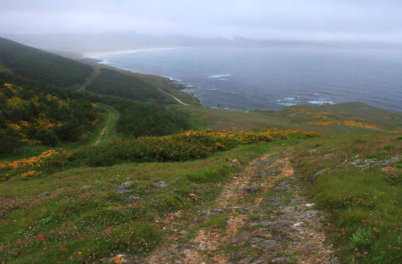 Costa da Morte, Camiño dos Faros