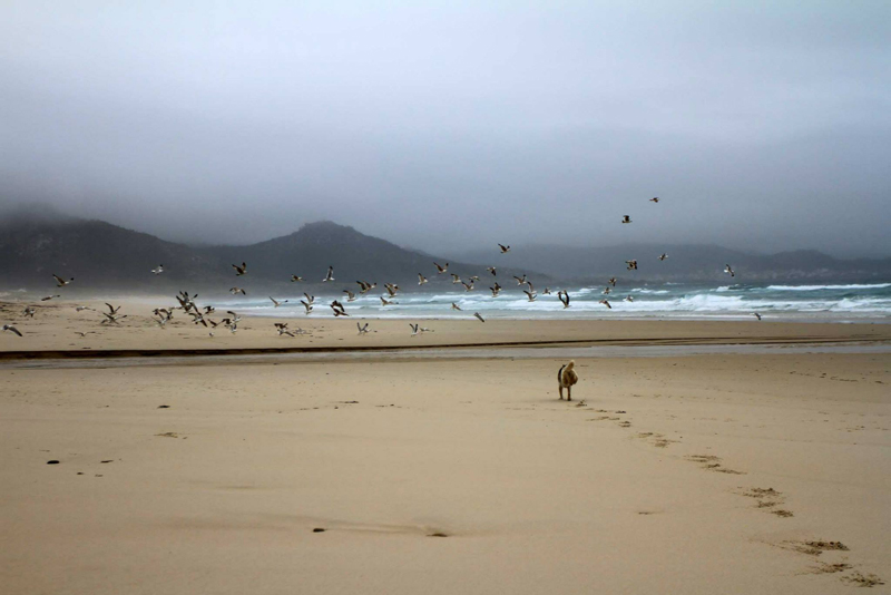 Costa da Morte, Camiño dos Faros