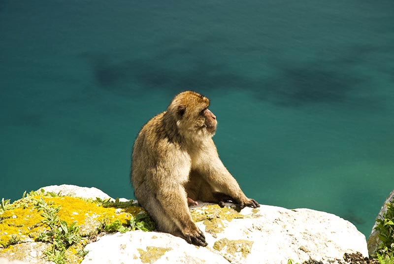 Gibraltar