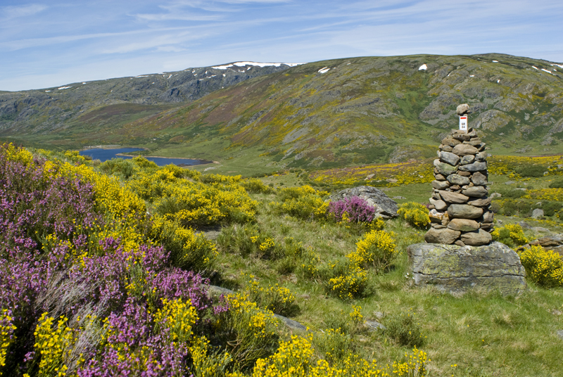 Sanabria