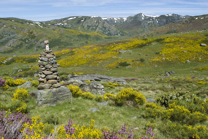 Sanabria