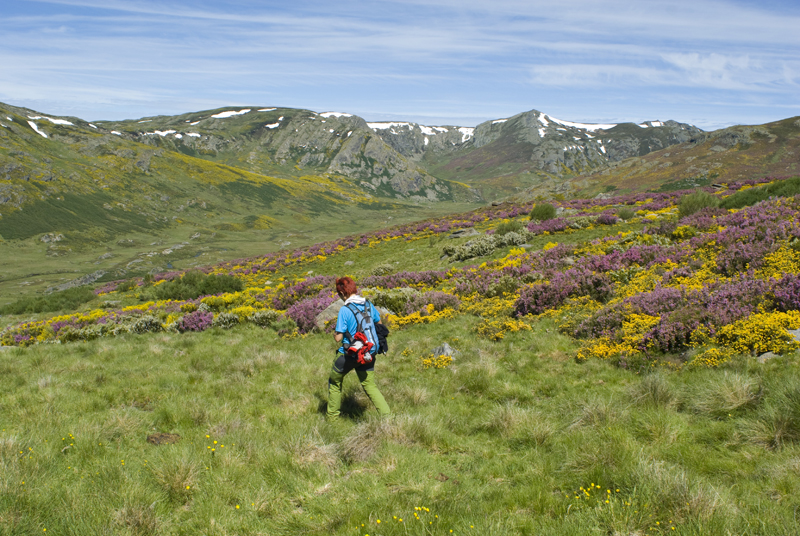 Sanabria