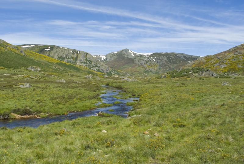Sanabria