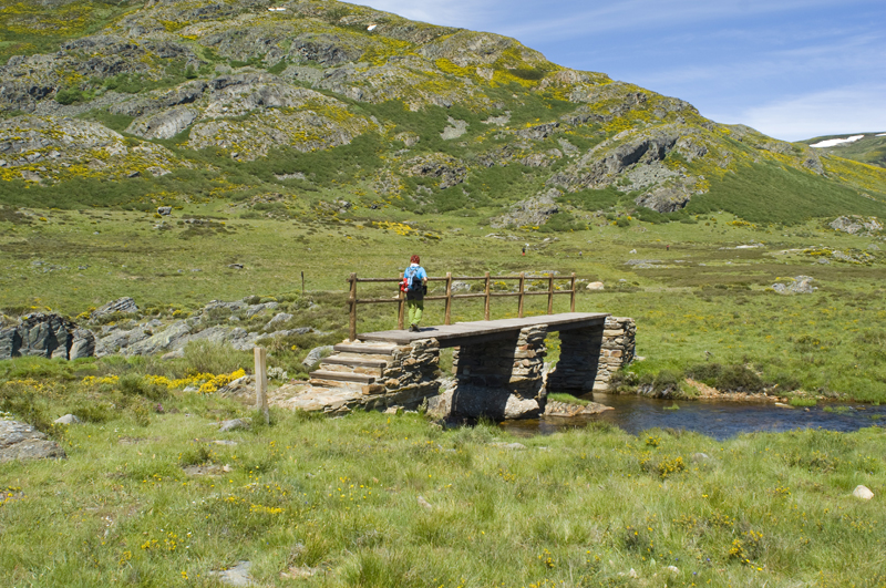 Sanabria