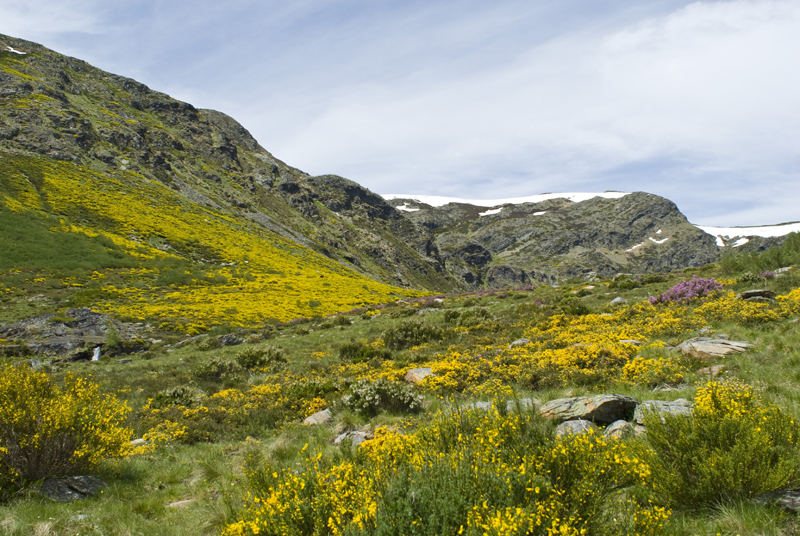 Sanabria