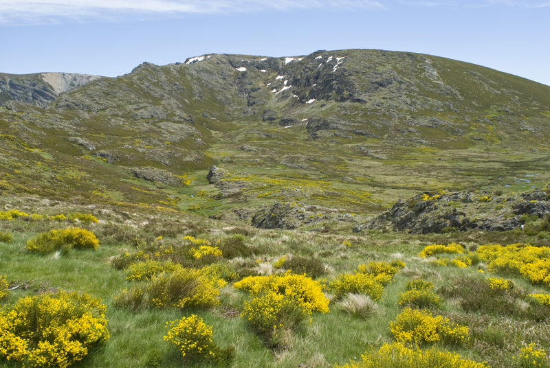 Sanabria
