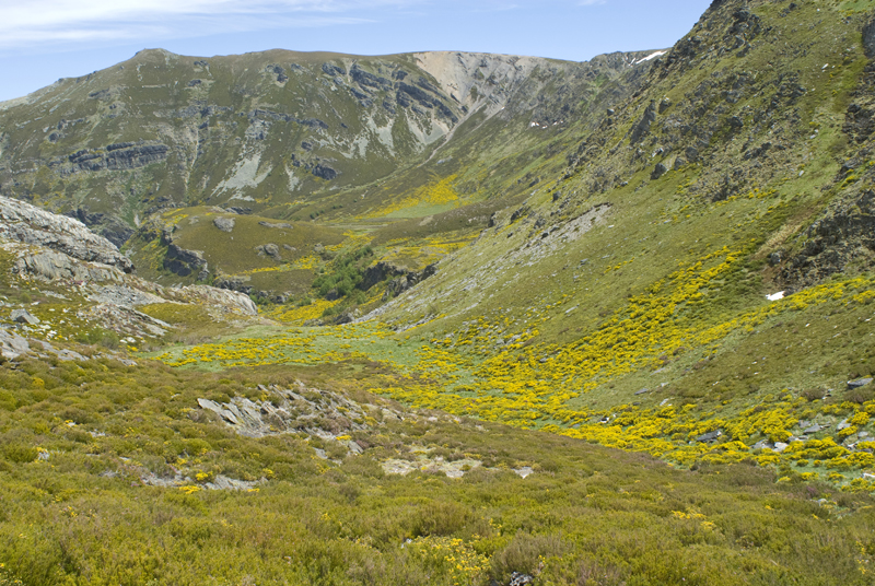 Sanabria