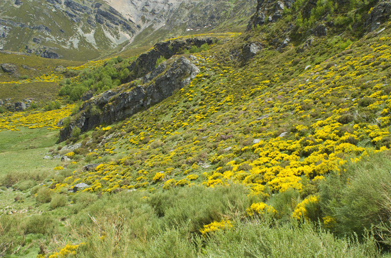 Sanabria