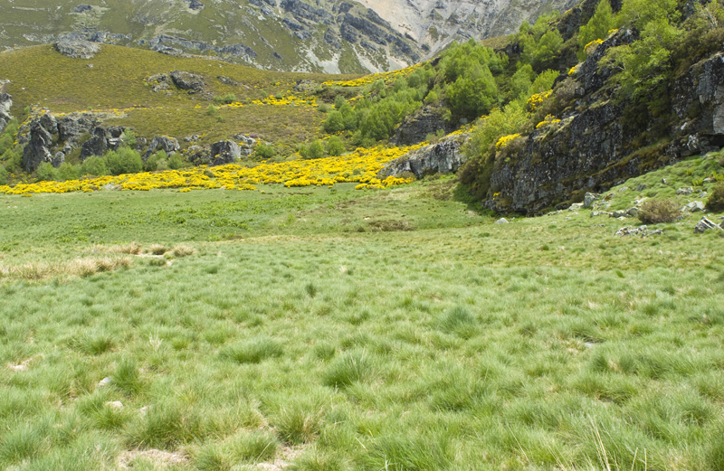 Sanabria