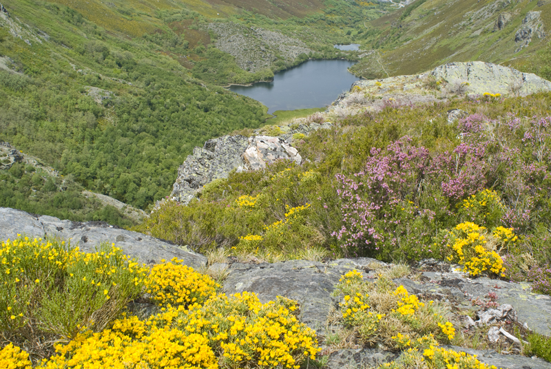 Sanabria