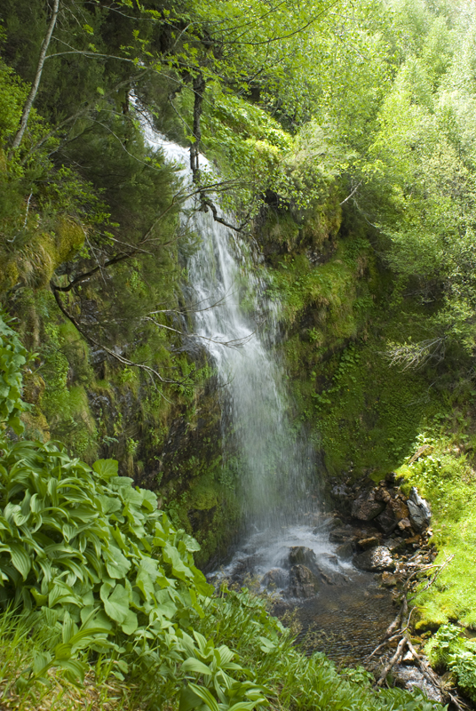 Sanabria