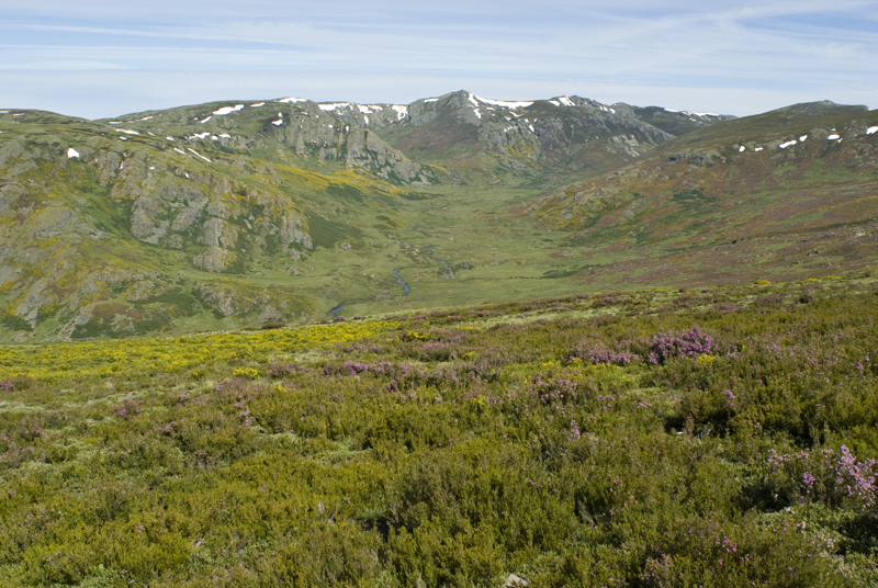 Sanabria