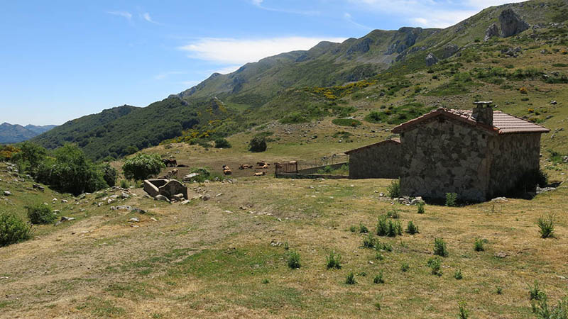 15Puertos Verano