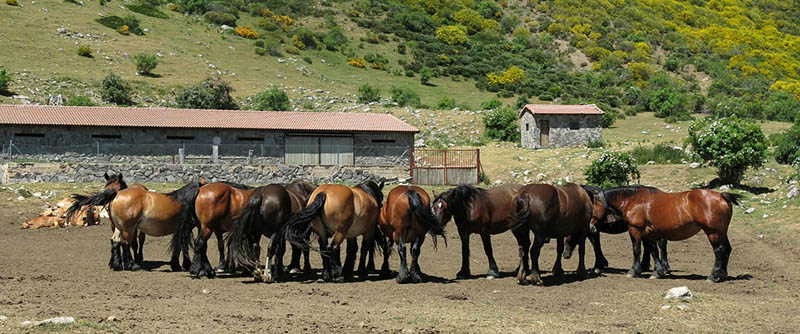 16Puertos Verano