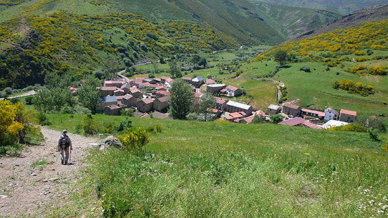 9Pendilla