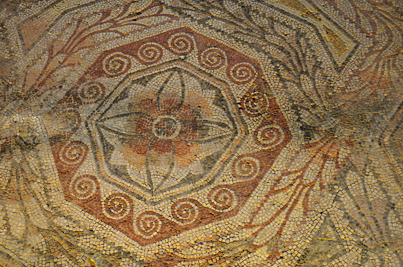 la olmeda1