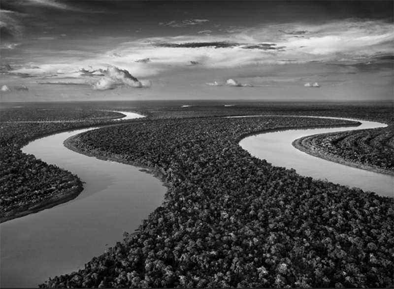 salgado-3