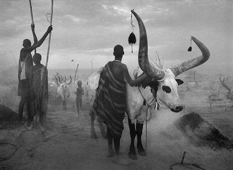 salgado3