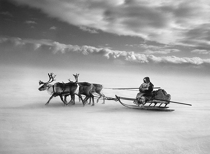 salgado6