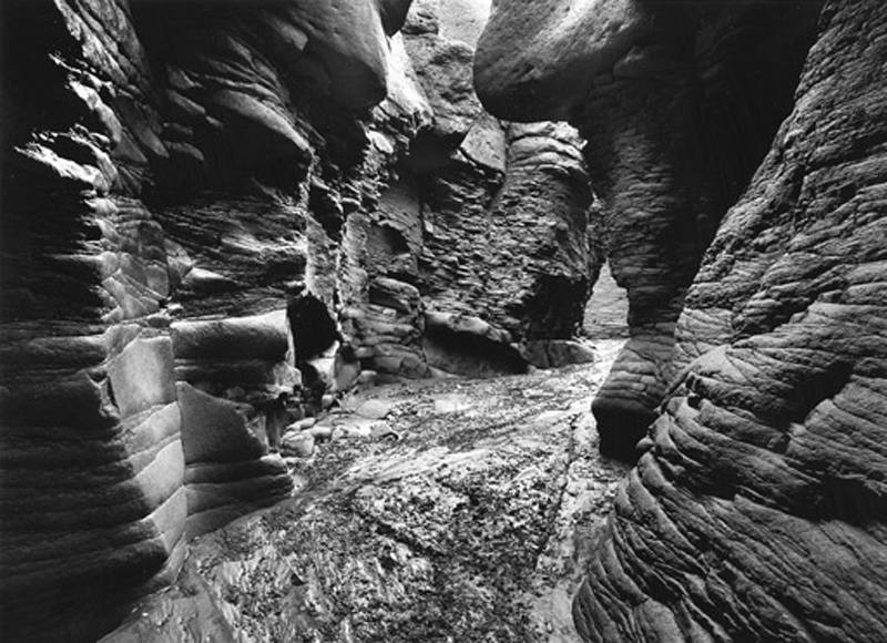 salgado7_mn512