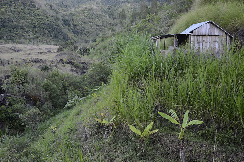 Interior caldera Batur
