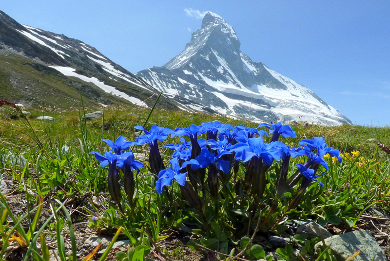 Alpes