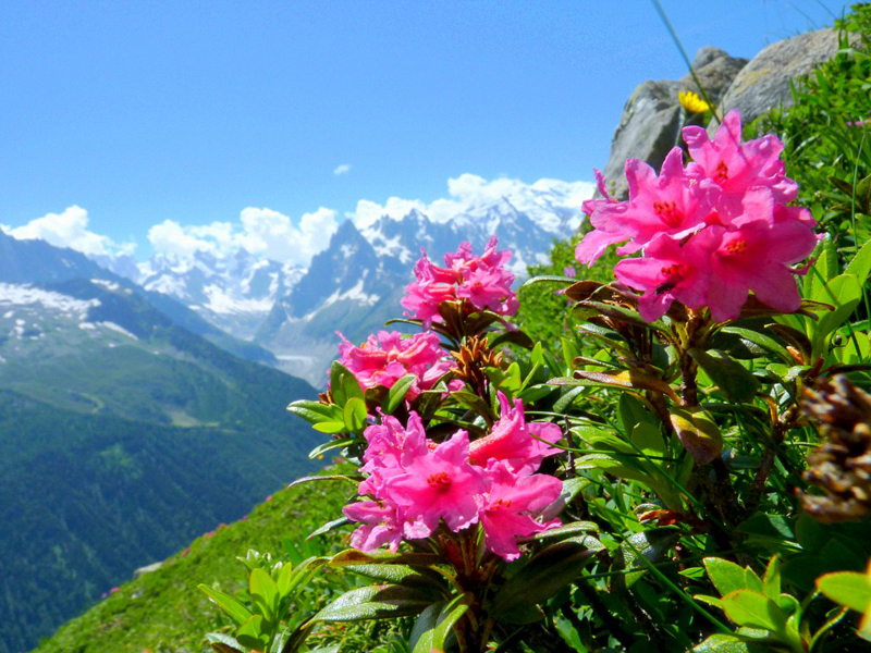 Los Alpes