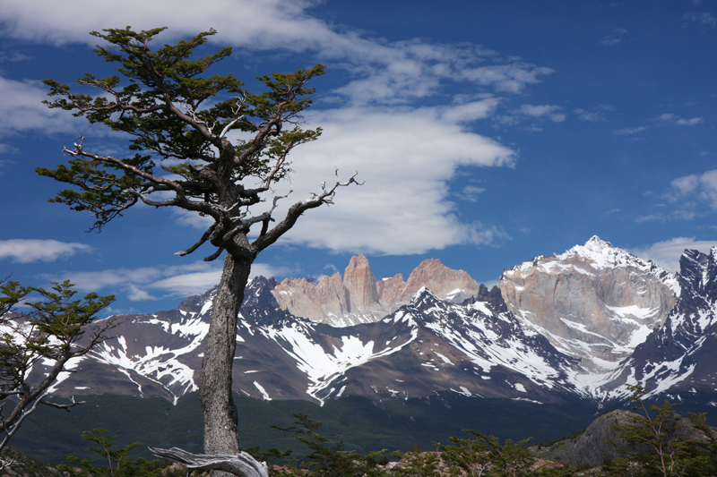 Patagonia,Torres del Paine, Chile