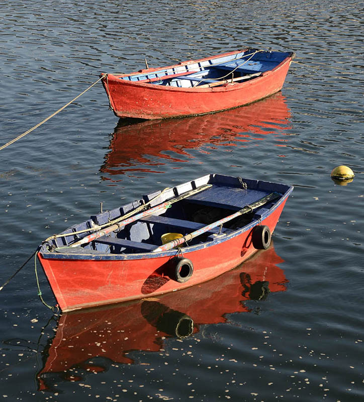 Viveiro Viveiro