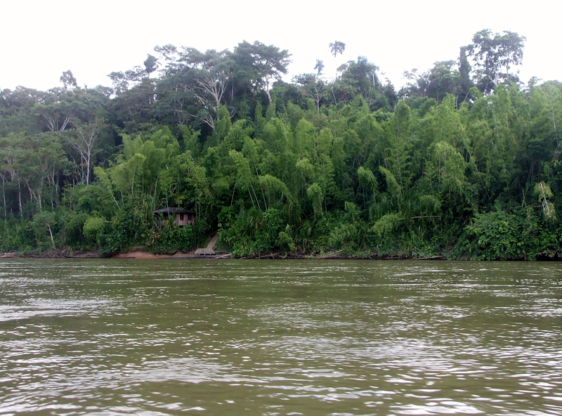 Parque Natural de Yasuní, Ecuador