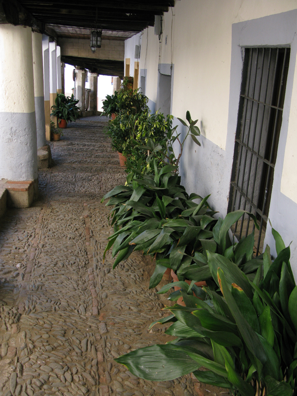 Las Villuercas Camino Real de Guadalupe