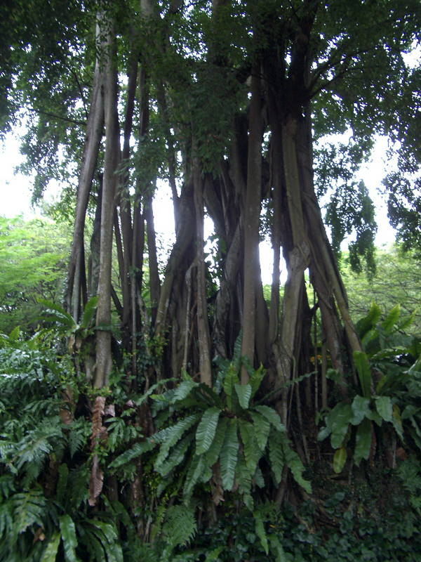 Singapur