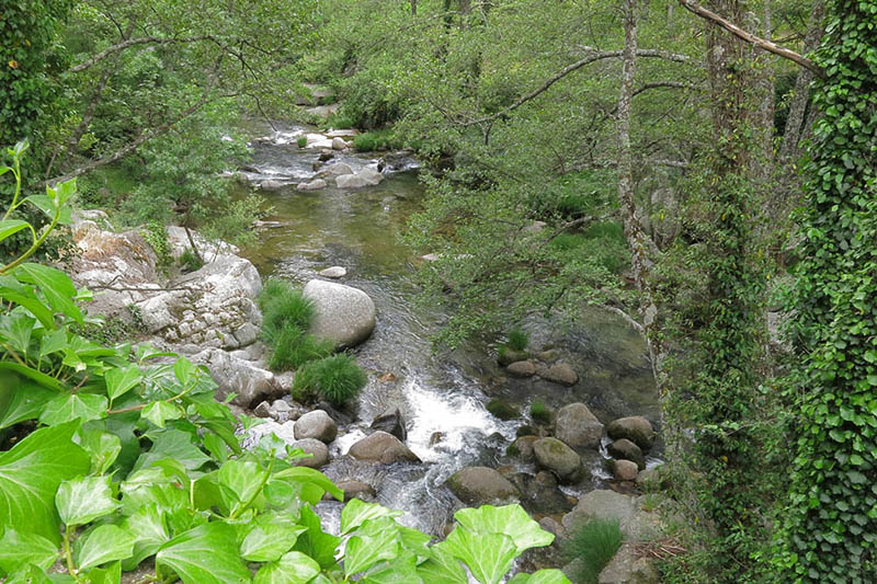 11Arroyo Tejar