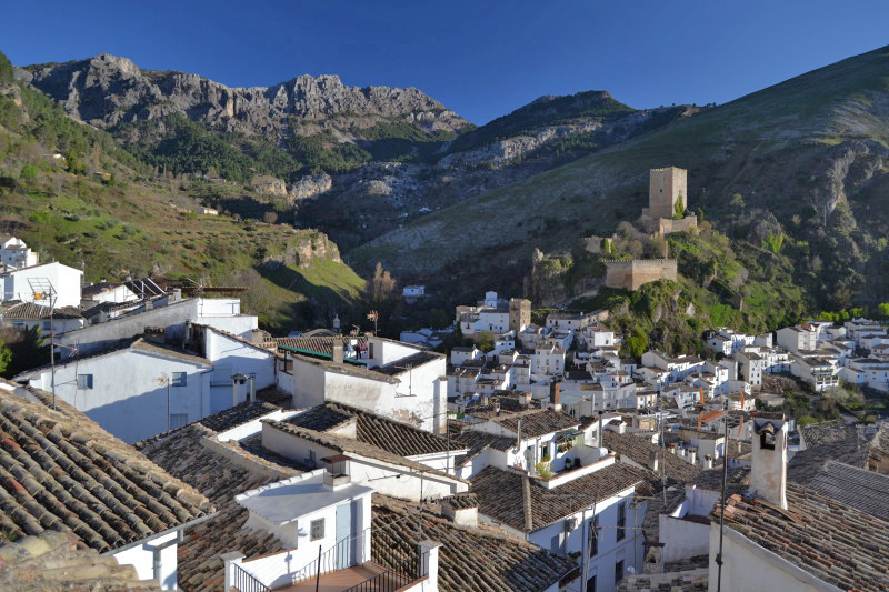 Cazorla001_0001