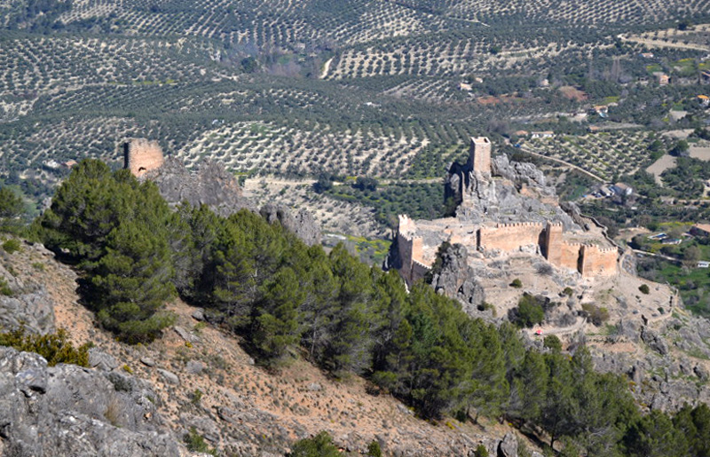 Cazorla046_0006