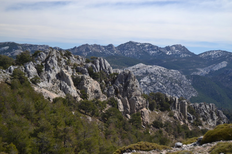 Cazorla056_0012