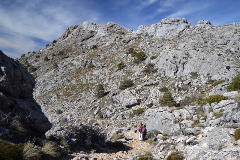 Cazorla066_0015