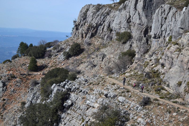Cazorla071_0017