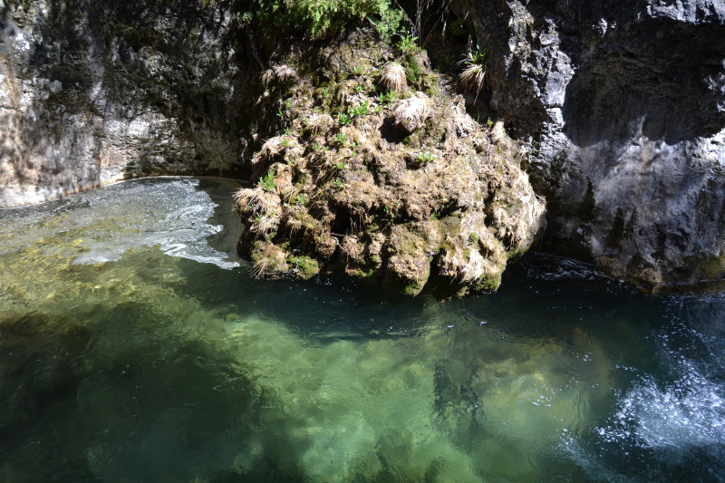 Cazorla085_0006