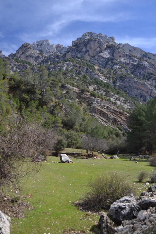 Cazorla088_0007