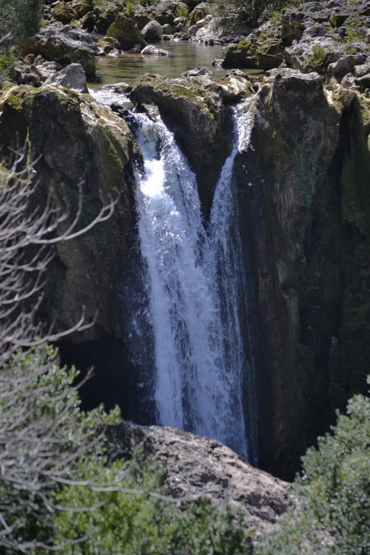 Cazorla095_0009