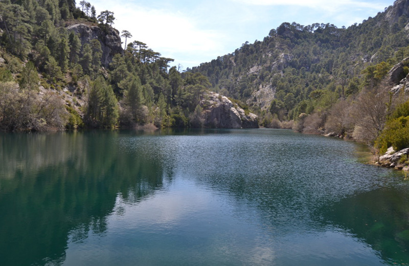 Cazorla109_0013