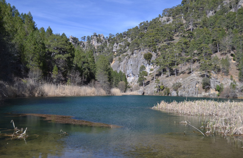 Cazorla110_0014