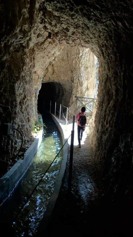 DSC_2219_0035